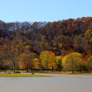 Lake in Wayne County, W. VA